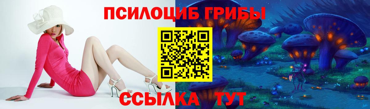 Избербаш  Галлюциногенные грибы Psilocybine cubensis  Вход с VPN 